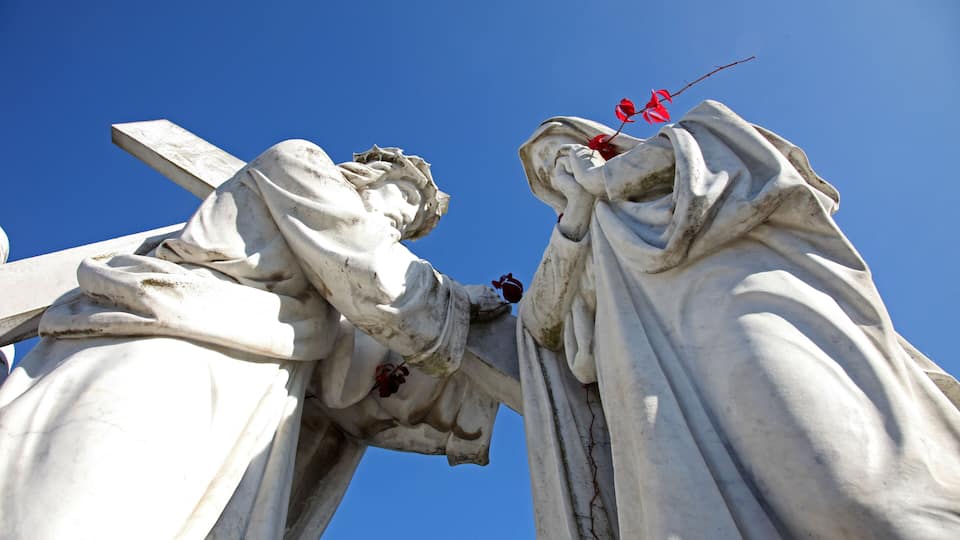 A close-up of a white marble statue with a red flower and a branch.