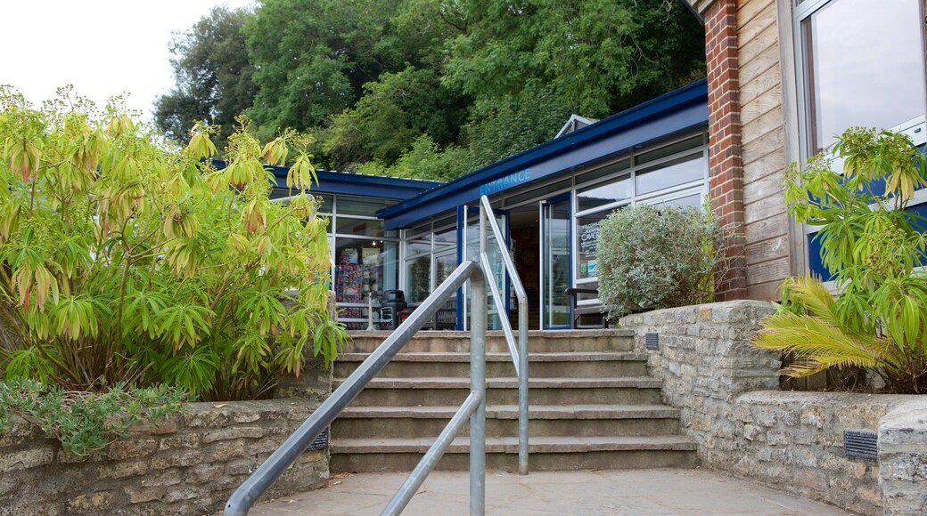 켄츠 케번 선사 동굴 을 특징 동굴