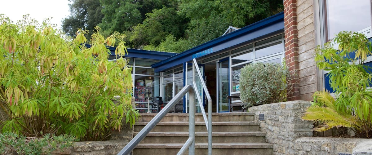 Kents Cavern Prehistoric Caves which includes caves