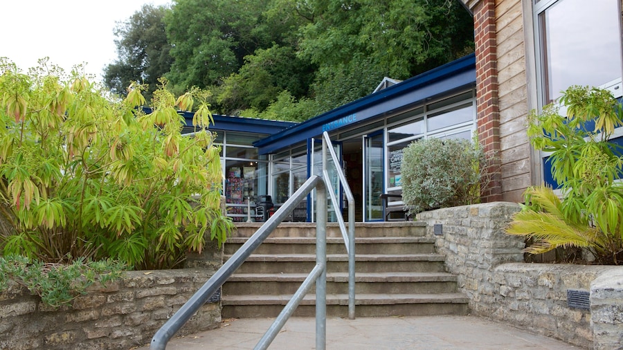 켄츠 케번 선사 동굴 을 특징 동굴