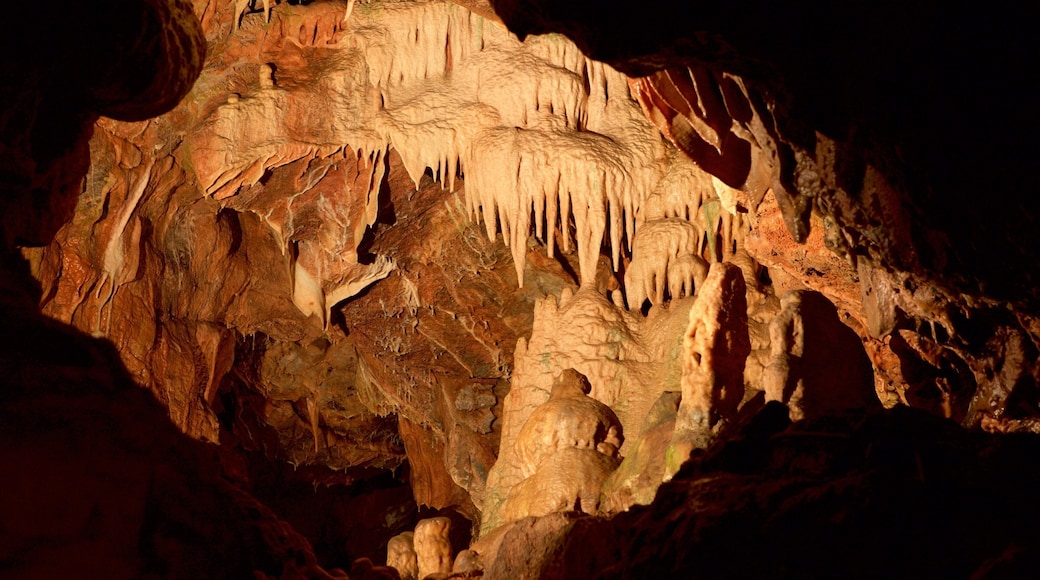 켄츠 케번 선사 동굴 을 특징 동굴