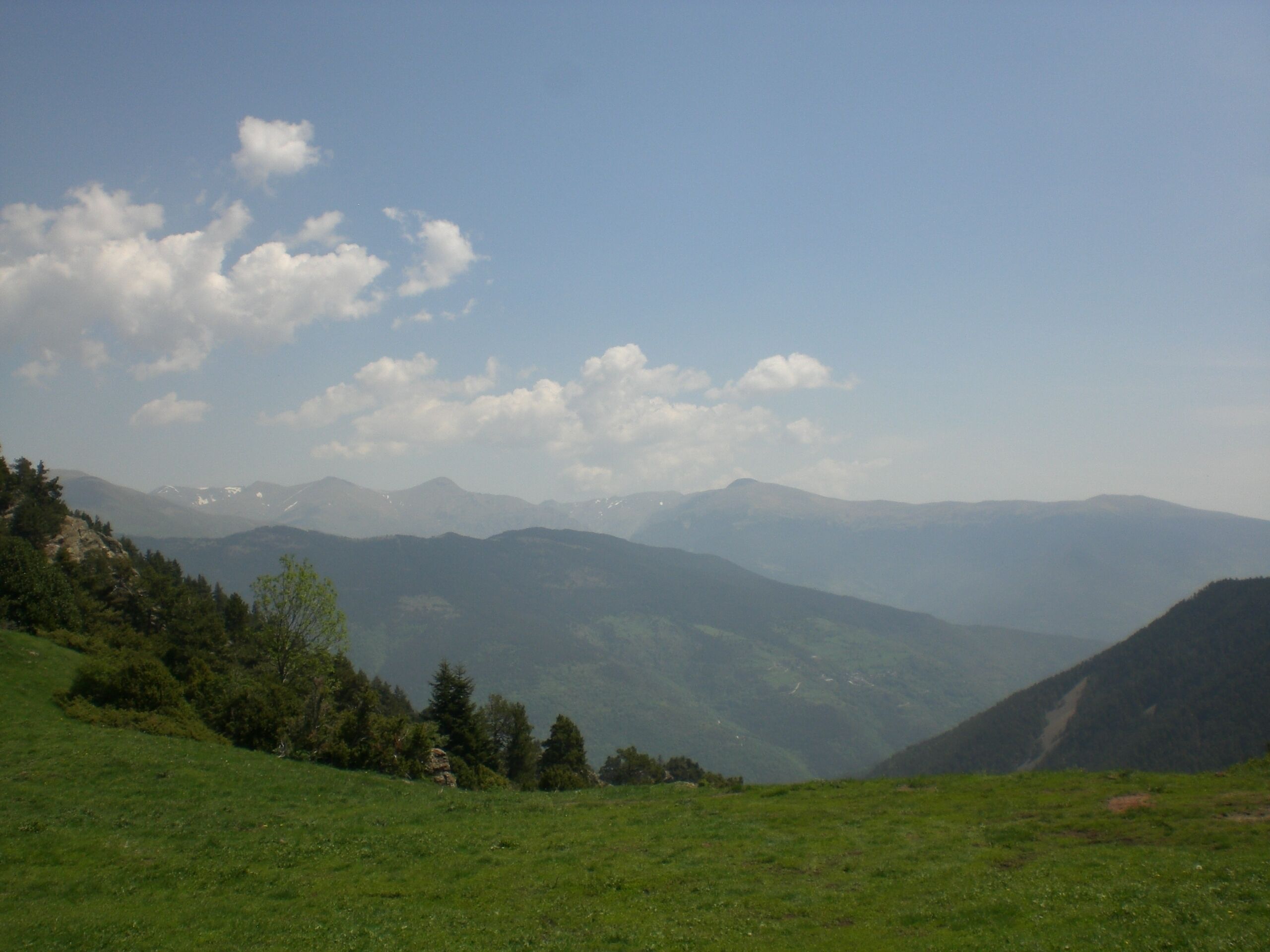 Vistes al NE des del Coll Roig, Nevà/Planoles (juny 2012)
