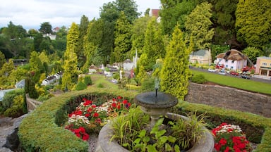 Babbacombe Model Village and Gardens which includes flowers and a garden