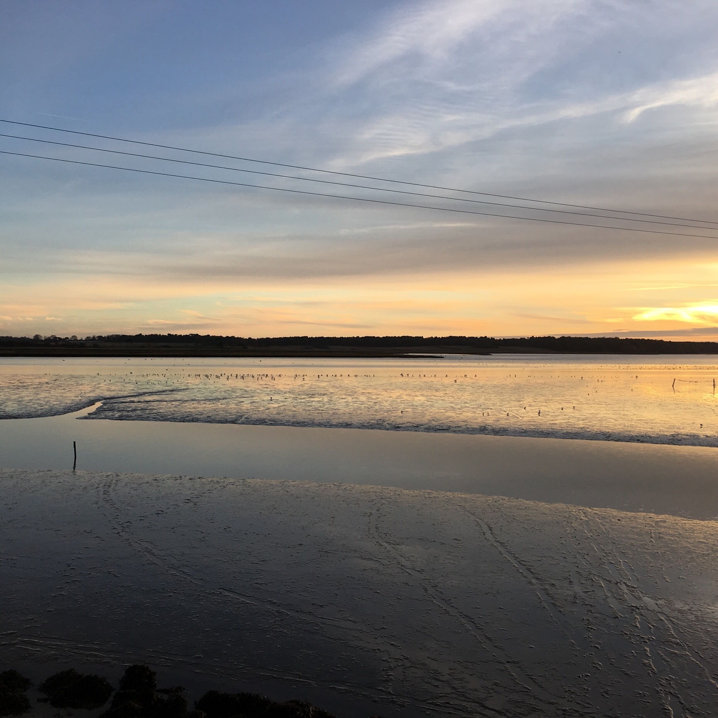 Blythburgh natural reserve