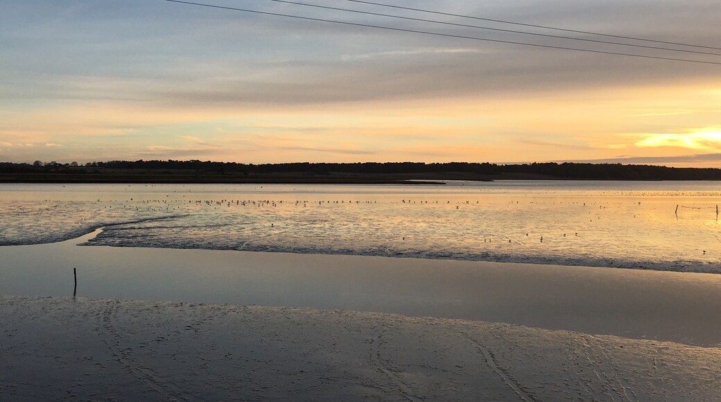 Blythburgh natural reserve