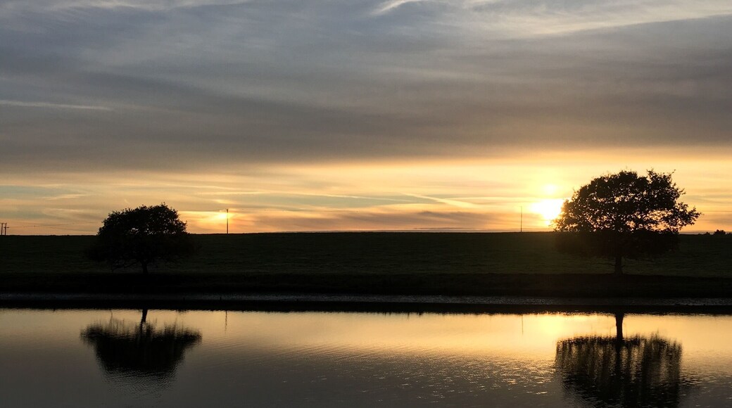 Blythburgh nature reserve