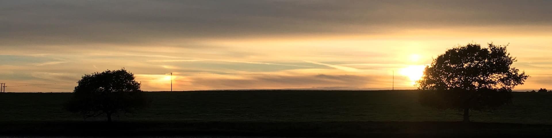 Blythburgh nature reserve