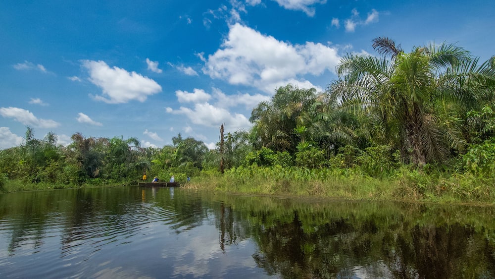 Beautiful view of the Black River