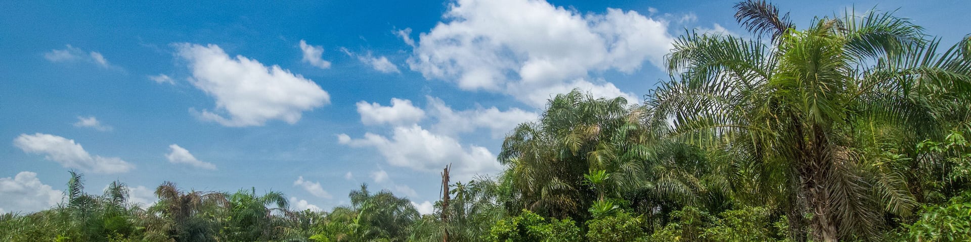 Beautiful view of the Black River