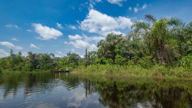 Beautiful view of the Black River