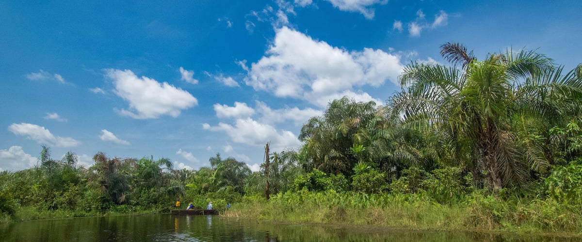 A calm river with dense greenery and a clear sky.
