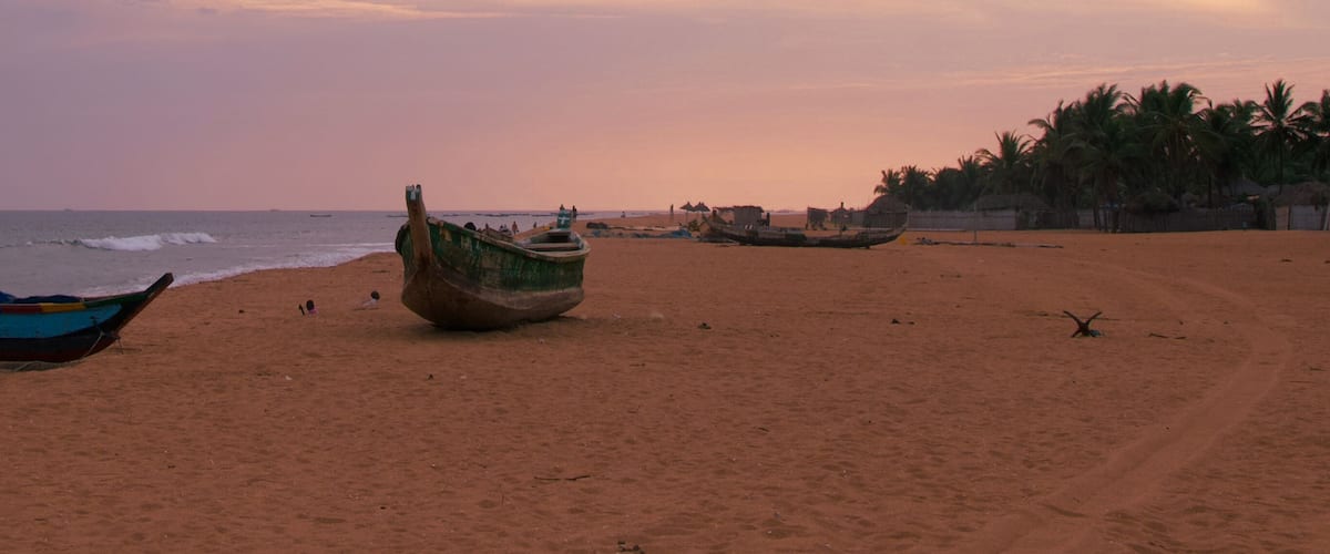 A beach with several boats and palm trees.
