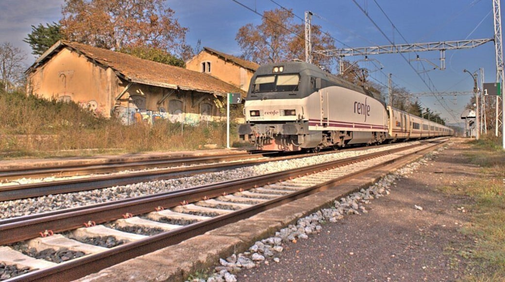 El TH Joan Miró amb la branca 6C4 i amb la 252.071 passant a bon ritme per l'estació de Sant Jordi Desvalls. Foto en format HDR, l'original la podeu veure aquí. El TH Joan Miró con la rama 6C4 y la 252.071 pasando a buen ritmo por la estación de Sant Jordi Desvalls. Foto en formato HDR, la original la podéis ver aquí.