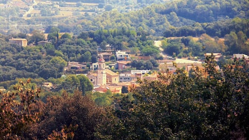 Església parroquial de Sant Feliu (Celrà)