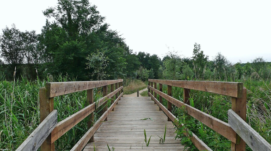 estanque de sils-2014