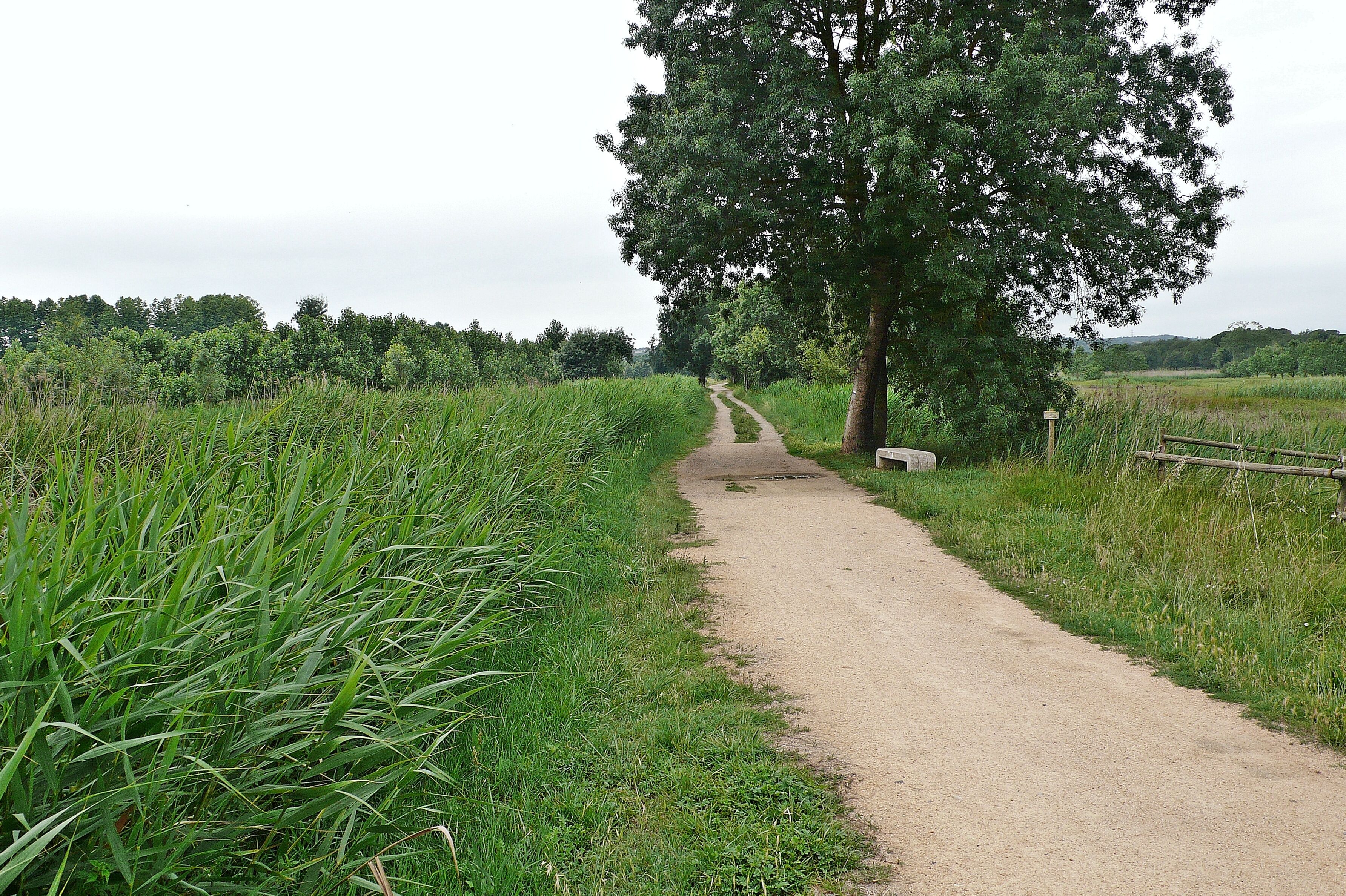 estanque de sils-2014