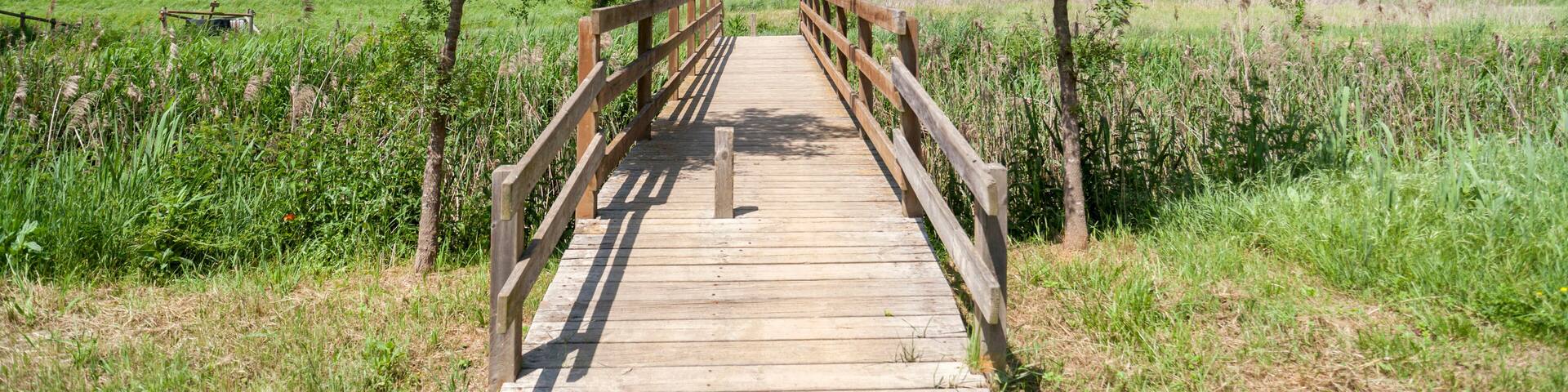 Landscape, spring day near to village of Sils,Catalonia,Spain.