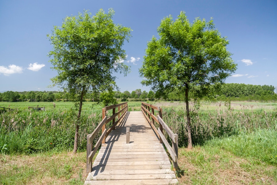 Landscape, spring day near to village of Sils,Catalonia,Spain.