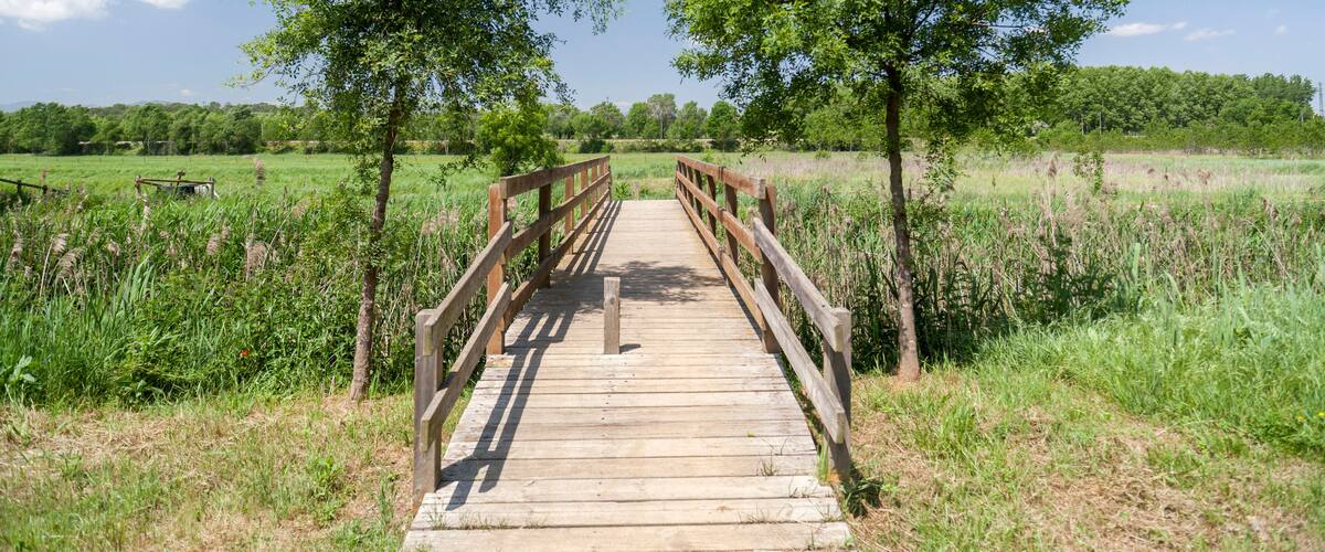 A wooden bridge in a grassy field with trees on either side.