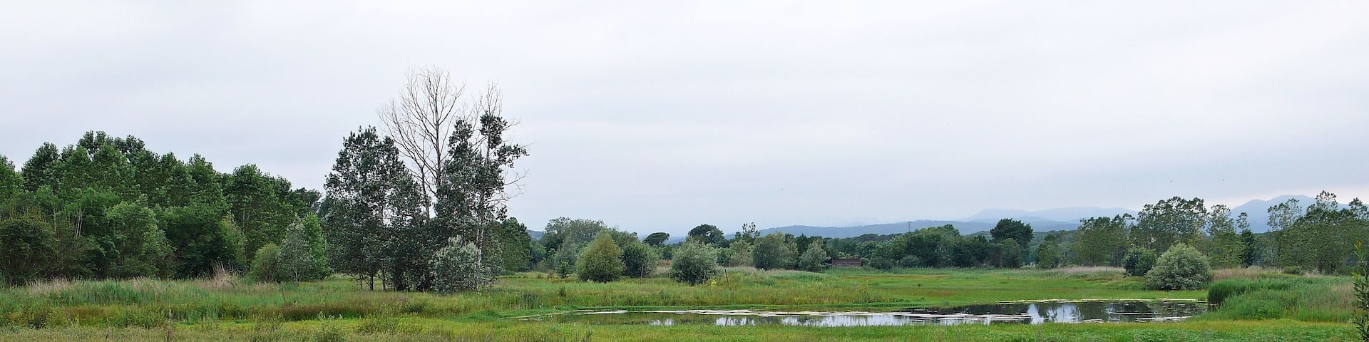 estanque de sils-2014