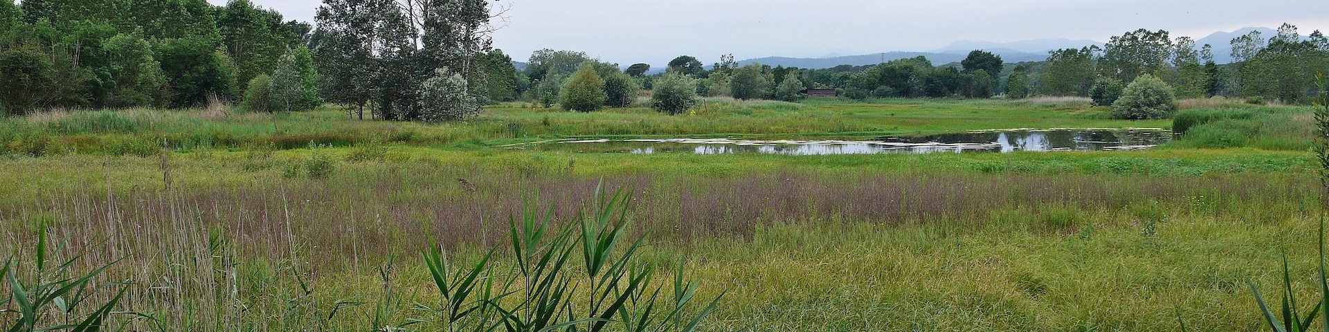 estanque de sils-2014