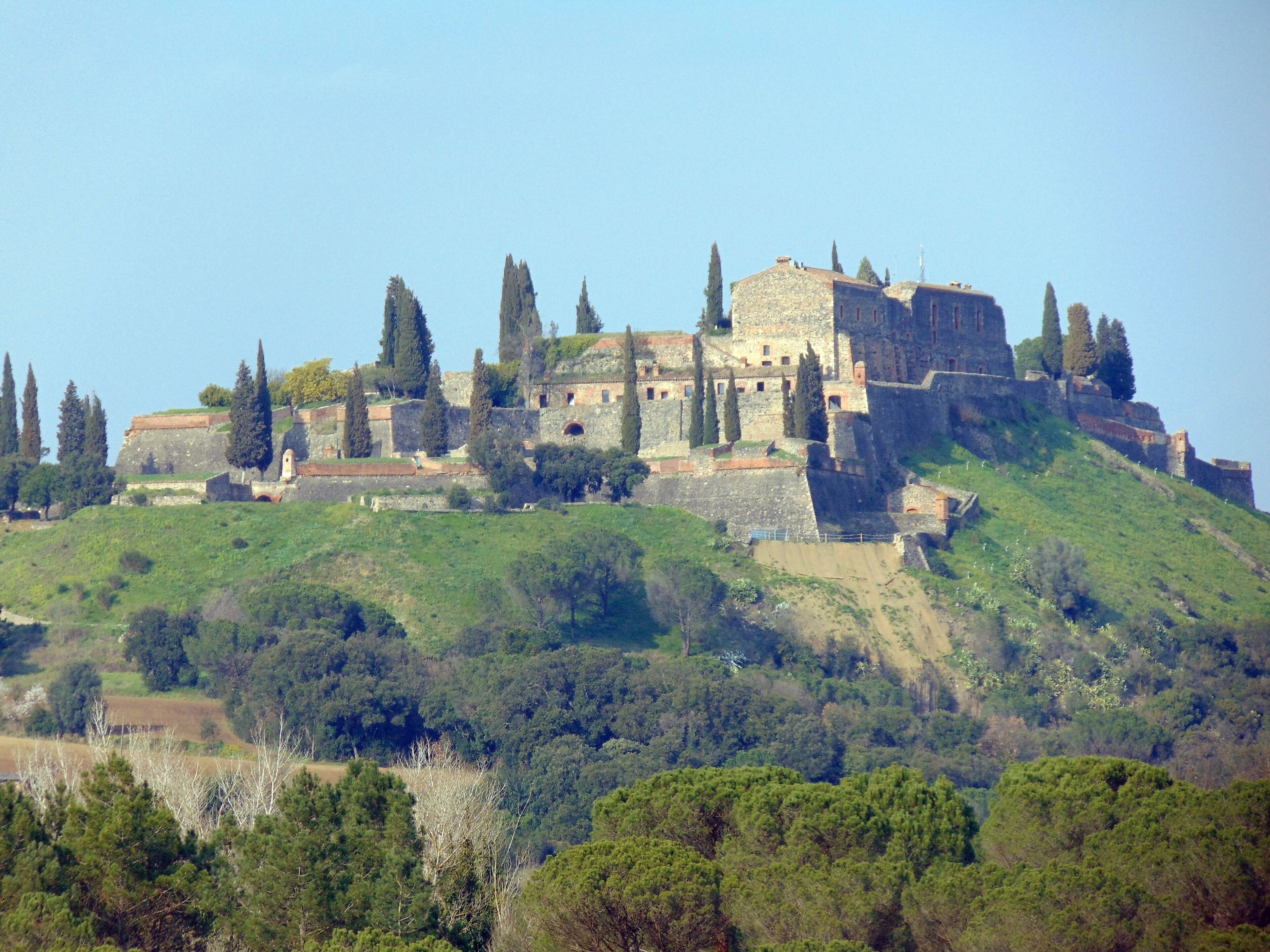 A historic castle on a hill with surrounding trees and greenery.