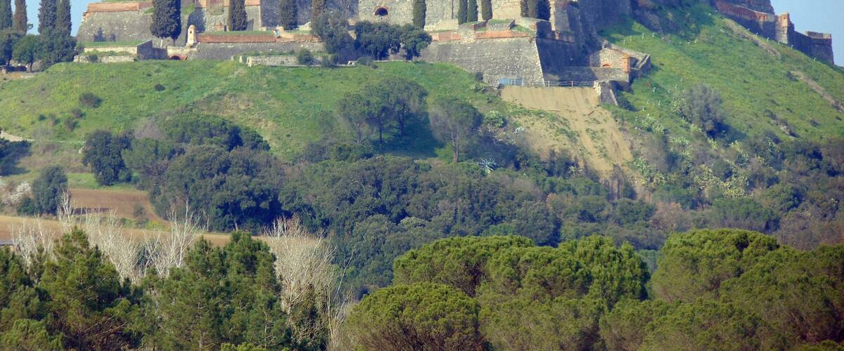 A historic castle on a hill with surrounding trees and greenery.