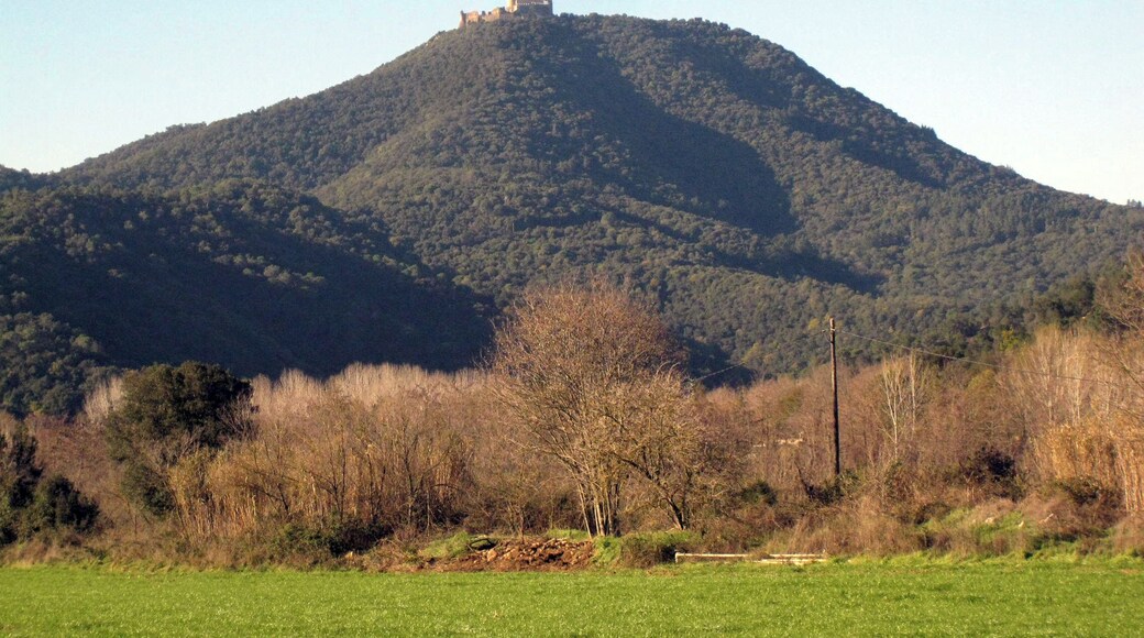 Castell de Montsoriu (Arbúcies i Sant Feliu de Buixelleu)