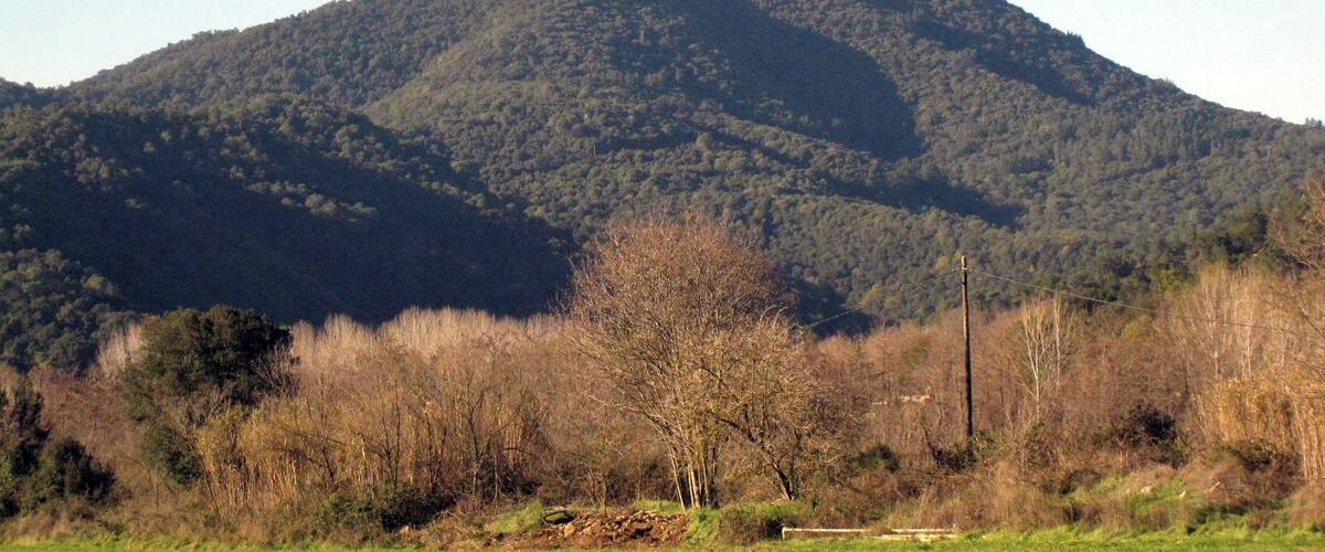 Castell de Montsoriu (Arbúcies i Sant Feliu de Buixelleu)