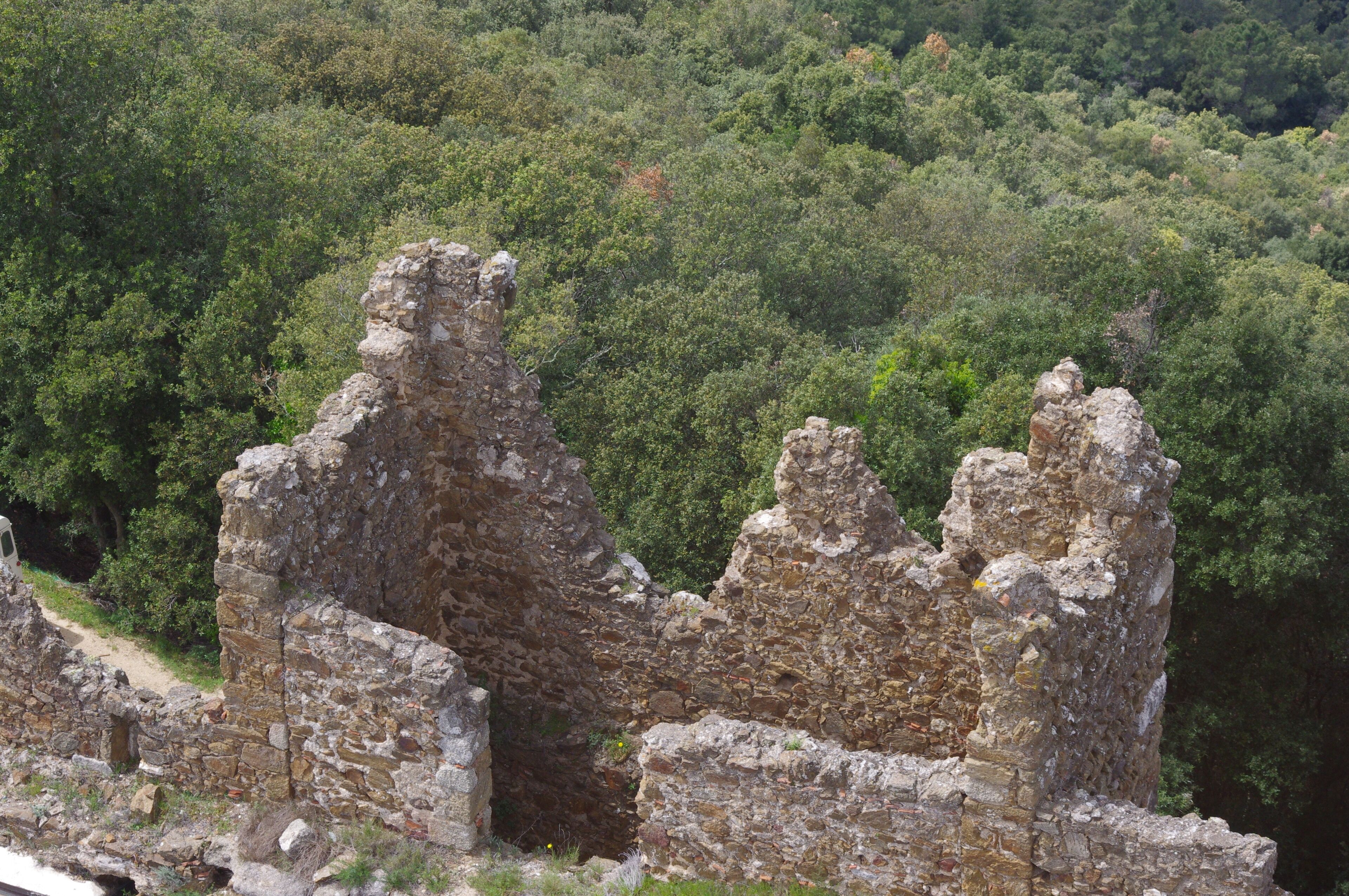 Castell de Montsoriu (Arbúcies i Sant Feliu de Buixelleu)