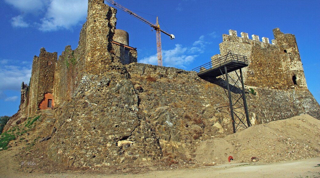 Castell de Montsoriu (Arbúcies i Sant Feliu de Buixelleu)