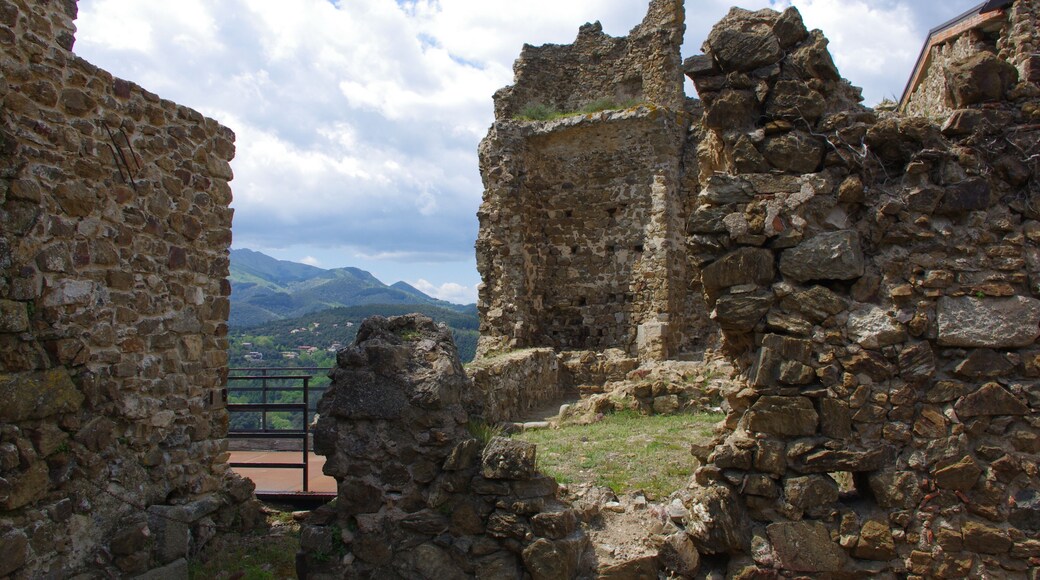 Castell de Montsoriu (Arbúcies i Sant Feliu de Buixelleu)