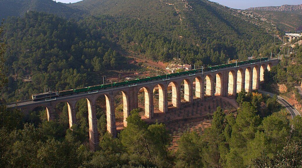 Ja feia temps que ho tenia en ment, però no era capaç de fer l'esforç per anar a enxampar el tren de fustes Manresa -> València -FSL (la irregularitat del servei potser sigui el motiu) en el pont d'Olesa de Montserrat, era qüestió de temps. Amb motiu de la pujada de l'herbicida em va servir d'excusa per matar dos ocells d'un sol tret, tot i que el sol ja el tenia a l'altra banda no va ser motiu per desaprofitar l'ocasió.