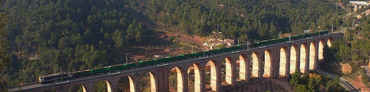 Ja feia temps que ho tenia en ment, però no era capaç de fer l'esforç per anar a enxampar el tren de fustes Manresa -> València -FSL (la irregularitat del servei potser sigui el motiu) en el pont d'Olesa de Montserrat, era qüestió de temps. Amb motiu de la pujada de l'herbicida em va servir d'excusa per matar dos ocells d'un sol tret, tot i que el sol ja el tenia a l'altra banda no va ser motiu per desaprofitar l'ocasió.