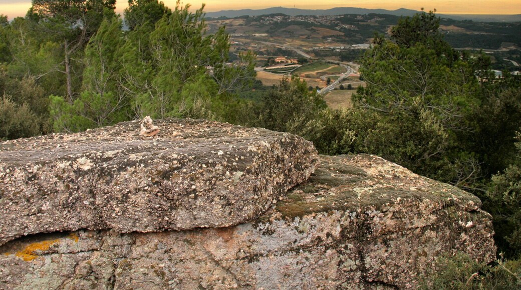Turó de la Barrumbina