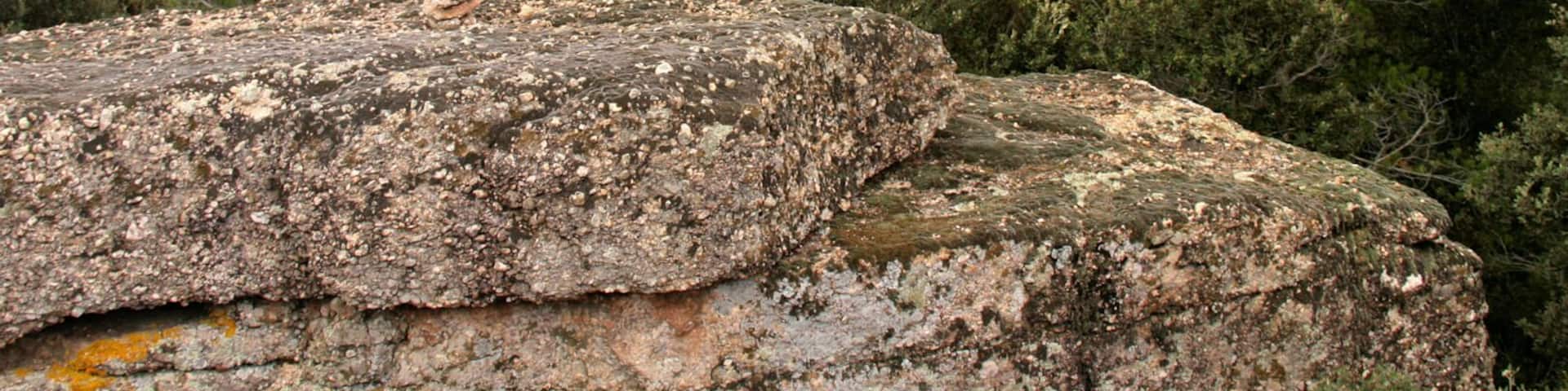 Turó de la Barrumbina