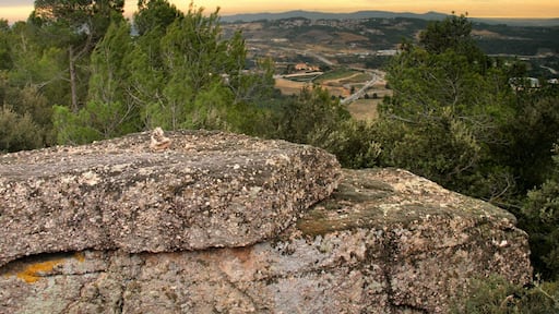 Turó de la Barrumbina