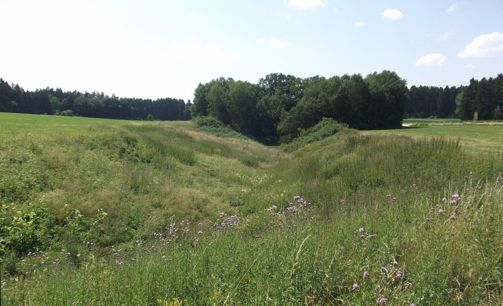 Ponordoline mit langem Zubringer-Graben
