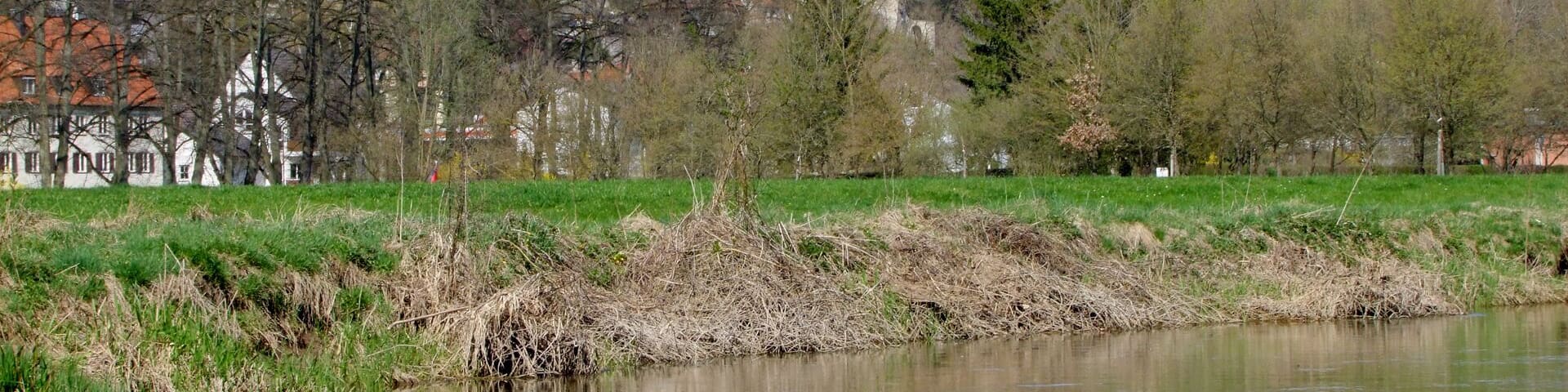 Castle of Pappenheim
