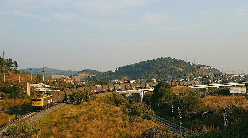 La 269.962 (ho miris com ho miris es la 269.962) amb un bobiner considerable sortint pel ramal de Can Tunis al seu pas per El Papiol. La 269.962 (lo mires como lo mires es la 269.962) con un bobinero considerable saliendo por el ramal de Can Tunis a su paso por El Papiol.