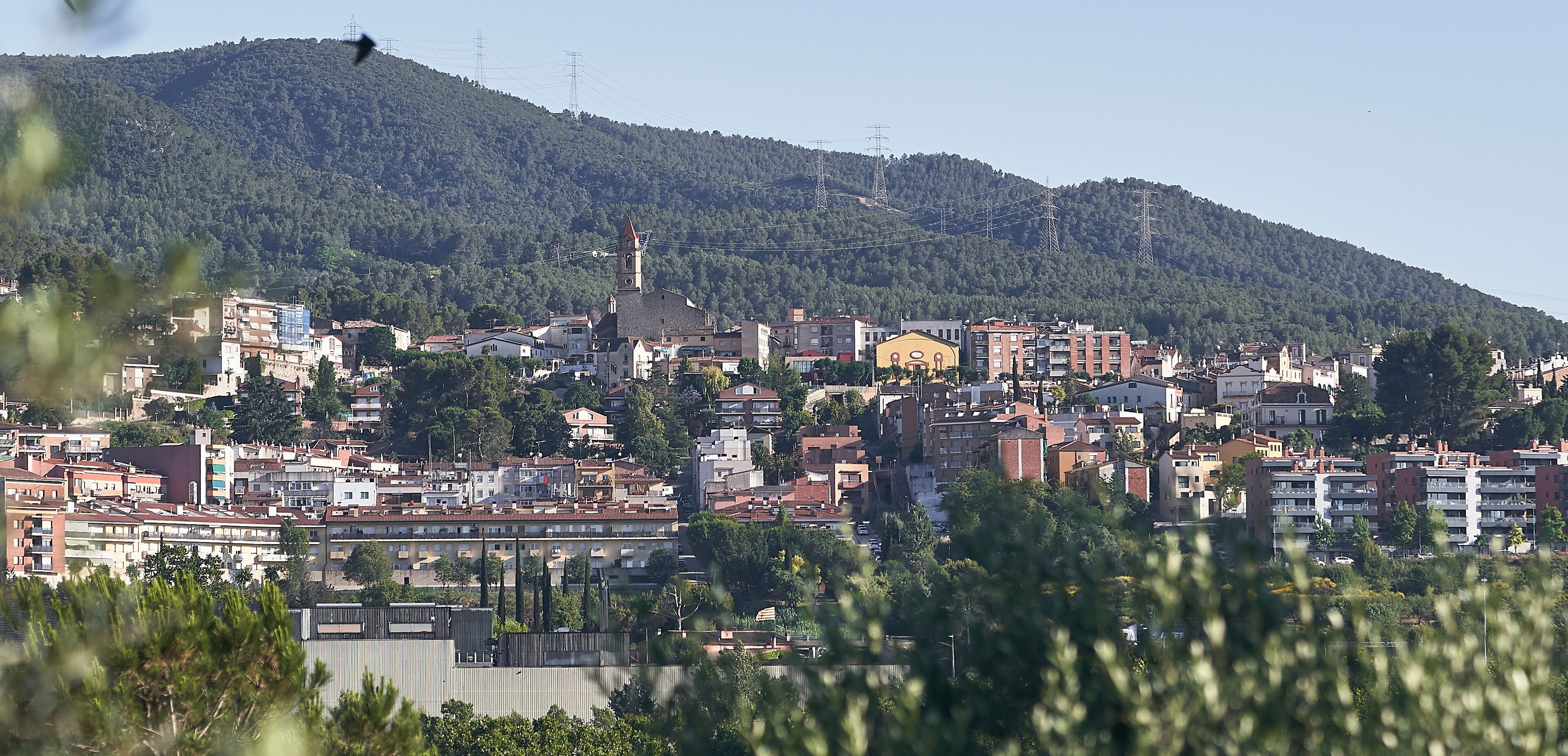 A town nestled against a forested hillside with a prominent church and power lines.