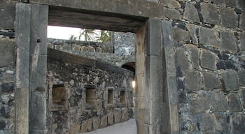 #Pernambuco #Brasil #Brazil #Fort
The Fort of Santa Cruz de Itamaracá, better known as Forte Orange, is located on the island of Itamaracá on the northern coast of the state of Pernambuco, Brazil. It was built in taipa by the Dutch in 1631. In 1654, with the defeat of the Dutch, it was in ruins. Later, in 1696, it was rebuilt by the Portuguese, in stone. The old Flemish symbols were exchanged for the arms of the Kingdom of Portugal which are engraved on the gate. Today, the space is occupied by a museum with archaeological fragments found in excavations and panels with reproductions of maps of the time.
O Forte de Santa Cruz de Itamaracá, mais conhecido como Forte Orange, localiza-se na ilha de Itamaracá no litoral norte do estado de Pernambuco, no Brasil. Foi construído, em taipa, pelos holandeses em 1631. Em 1654, com a derrota dos holandeses, ficou em ruinas. Mais tarde, em 1696, foi reconstruído pelos portugueses, em pedra. Os antigos símbolos flamengos foram trocados pelas armas do Reino de Portugal que estão gravadas sobre o portão. Hoje, o espaço é ocupado por um museu com fragmentos arqueológicos encontrados em escavações e painéis com reproduções de mapas da época.
