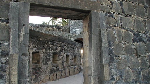 #Pernambuco #Brasil #Brazil #Fort
The Fort of Santa Cruz de Itamaracá, better known as Forte Orange, is located on the island of Itamaracá on the northern coast of the state of Pernambuco, Brazil. It was built in taipa by the Dutch in 1631. In 1654, with the defeat of the Dutch, it was in ruins. Later, in 1696, it was rebuilt by the Portuguese, in stone. The old Flemish symbols were exchanged for the arms of the Kingdom of Portugal which are engraved on the gate. Today, the space is occupied by a museum with archaeological fragments found in excavations and panels with reproductions of maps of the time.
O Forte de Santa Cruz de Itamaracá, mais conhecido como Forte Orange, localiza-se na ilha de Itamaracá no litoral norte do estado de Pernambuco, no Brasil. Foi construído, em taipa, pelos holandeses em 1631. Em 1654, com a derrota dos holandeses, ficou em ruinas. Mais tarde, em 1696, foi reconstruído pelos portugueses, em pedra. Os antigos símbolos flamengos foram trocados pelas armas do Reino de Portugal que estão gravadas sobre o portão. Hoje, o espaço é ocupado por um museu com fragmentos arqueológicos encontrados em escavações e painéis com reproduções de mapas da época.
