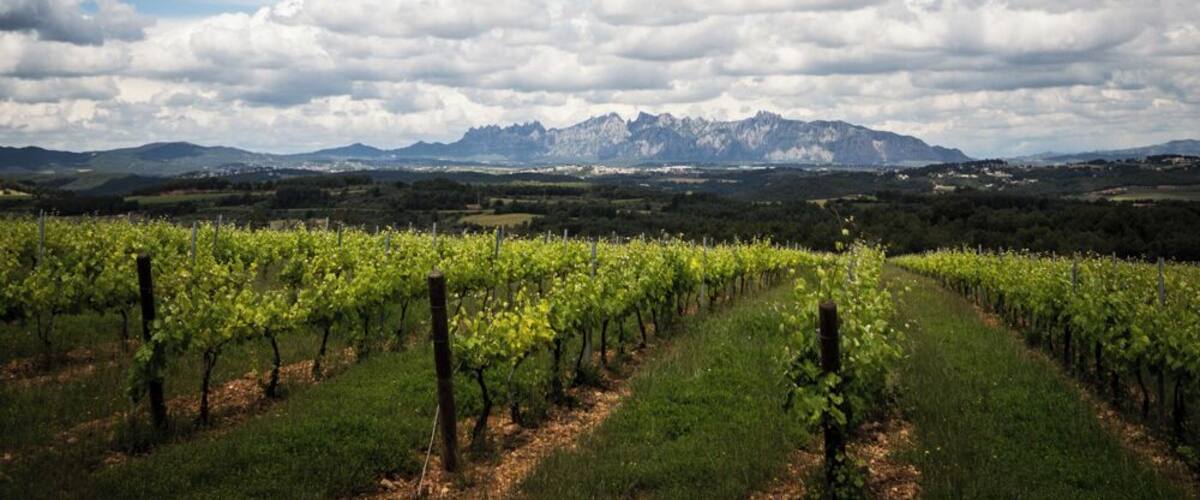 This is a a photo of a natural area in Catalonia, Spain, with id: