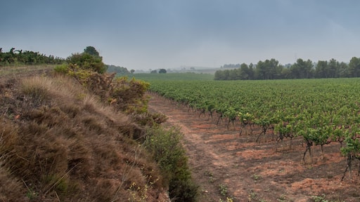 Sant Sadurni d'Anoia