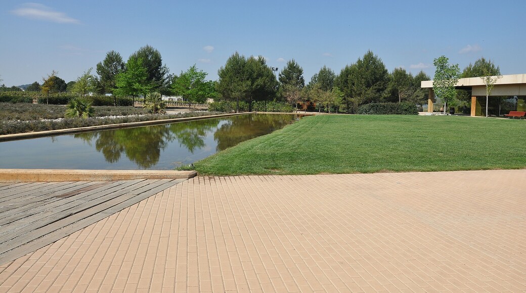 cavas vilarnau-alt penedes-cataluña