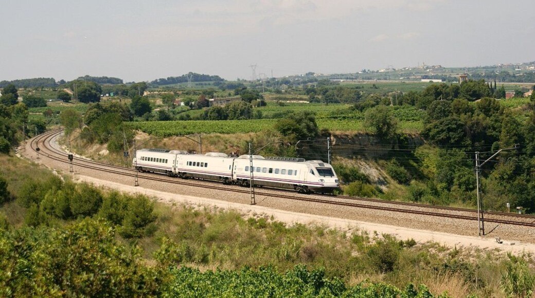 Al cap d'una estona de pasar el <a href="https://www.flickr.com/photos/eldelinux/5926339560/">primer desviat</a>, va aparèixer el segon desvio inesperat d'aquell dia, que va ser aquest Alaris. Al rato de pasar el <a href="https://www.flickr.com/photos/eldelinux/5926339560/">primer desviado</a>, apareció el segundo desvio inesperado de ese día, que fué este Alaris.
