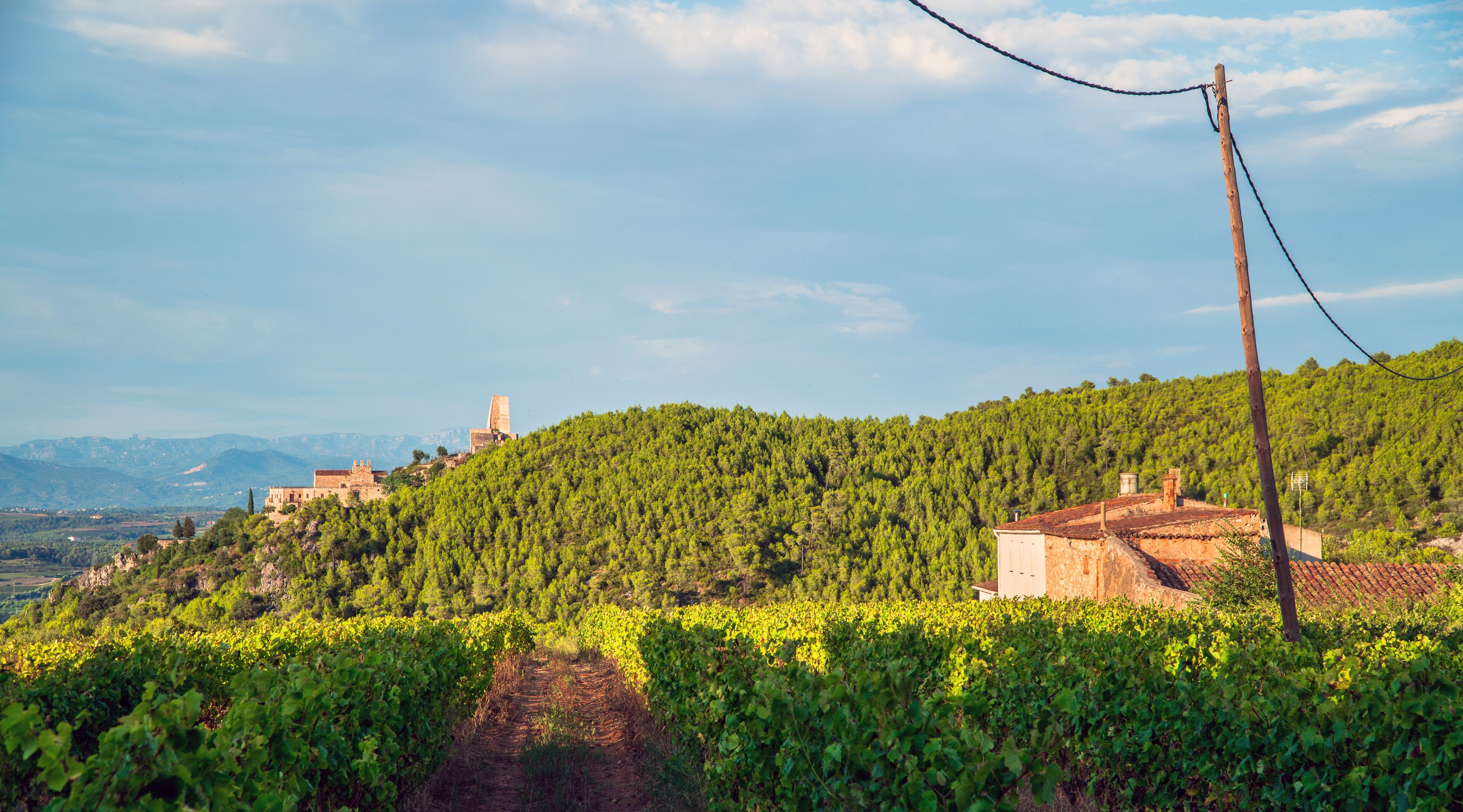 Subirats Castle among vineyards at Penedes wine region. Catalonia, Spain.