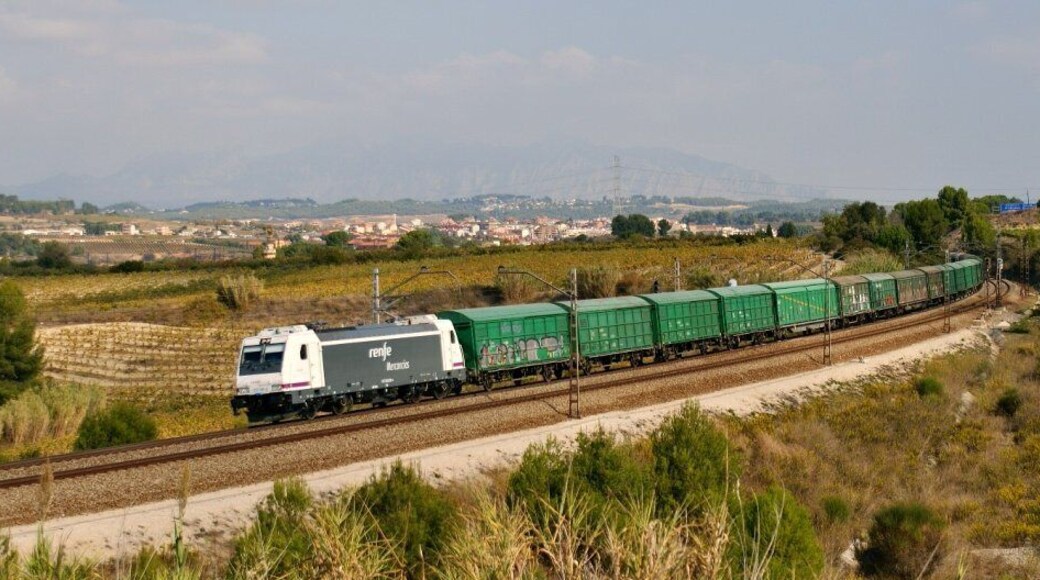 Un dels que no fallen a les sortides ferroviaries, el paparer Girona-Mercaderies -> Saragossa-Corbera. Uno de los asiduos a las salidas ferroviarias, el papelero Gerona-Mercancías -> Zaragoza-Corbera.