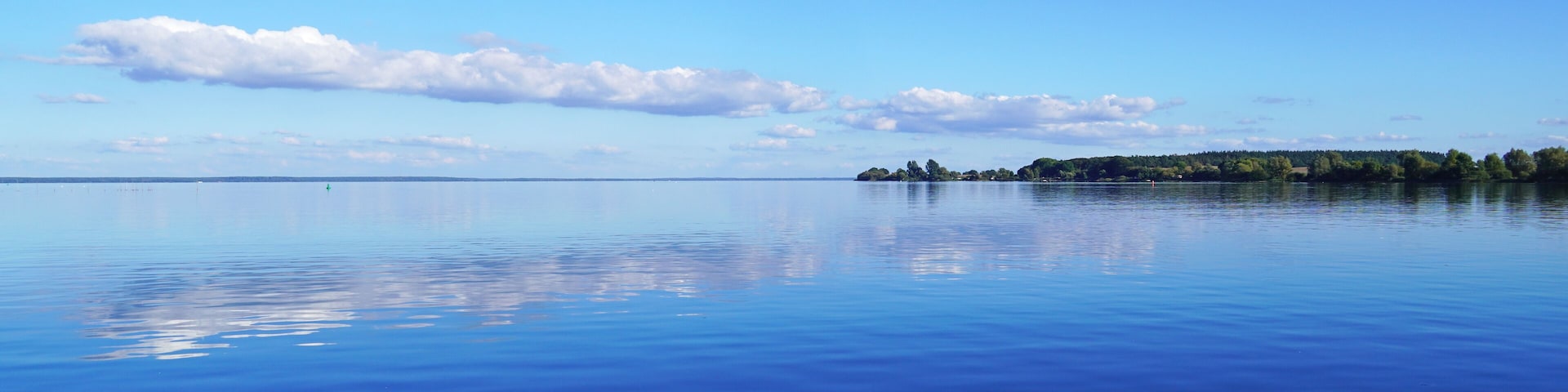 A calm lake with a clear sky, distant shoreline, and a small island with trees.